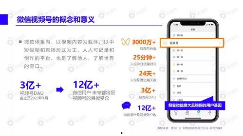 口罩网友爆料视频下载安装,揭秘口罩背后的故事