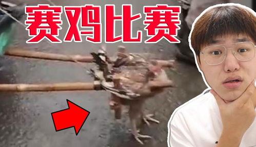 cc爆料狗哥视频,cc爆料背后的真实故事