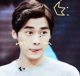 李易峰贴吧爆料视频合集,揭秘明星幕后故事