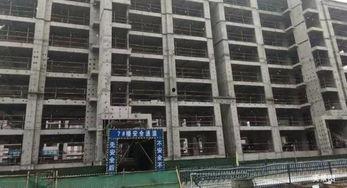 枫丹建筑爆料最新消息,揭秘未来城市风貌与建筑奇观