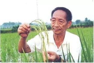 袁隆平下田爆料视频完整版,农业科技巨擘的田间实践与智慧分享