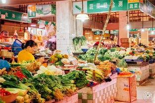 深圳菜市场爆料视频最新,探寻市井烟火气中的美食宝藏