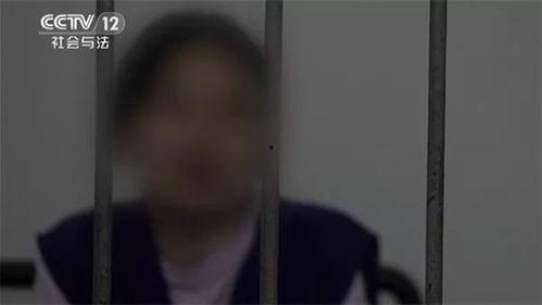 河北女子爆料事件始末视频,真相与争议的交织