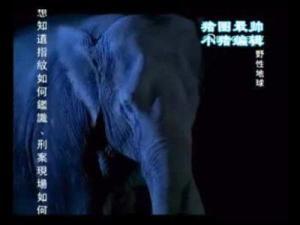 母性本能全集在线观看,揭秘母爱力量与育儿智慧