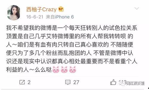 网课最新爆料内幕