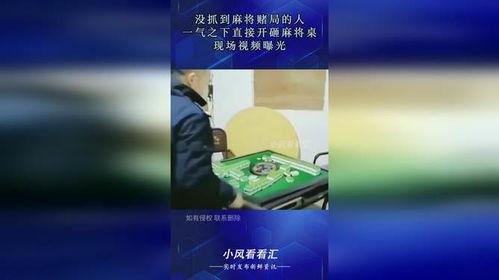 麻将桌爆料视频大全集播放,揭秘经典爆料视频全集精彩瞬间