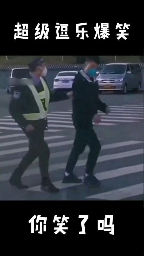 逗乐爆料视频大全最新版,最新版笑料横生，欢乐无限