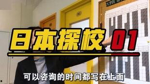 日本学校爆料视频播放,爆料视频揭示的真实校园生活