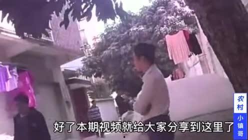 农村永哥爆料视频大全,揭秘农村生活百态