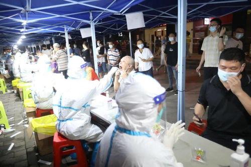 中国李宁爆料视频最新2020,揭秘品牌新动向与时尚潮流