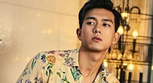 娱乐圈吃瓜男明星是谁啊,揭秘那些被热议的男星幕后故事