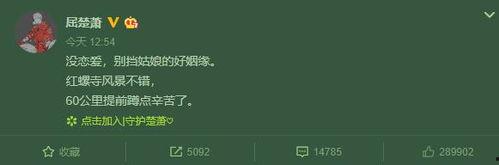 吃瓜之恋知乎免费阅读,揭秘网络热恋背后的真实故事
