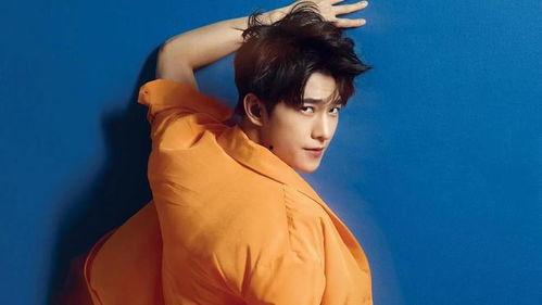 杨洋杨颖最新爆料,揭秘明星幕后故事与心路历程