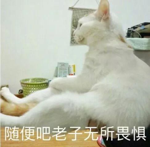 勾当1手机在线观看,揭秘剧情高潮与精彩瞬间