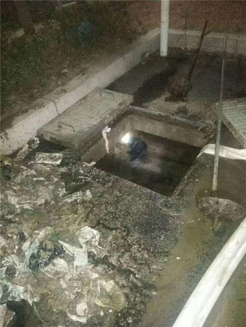 河津市百底村爆料新闻视频,揭秘村庄背后惊人真相
