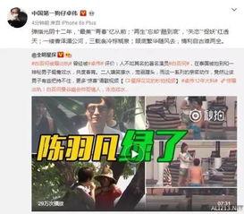 卓伟十点爆料视频大全集,揭秘娱乐圈背后的真相与秘密