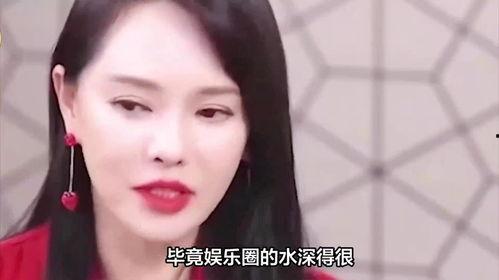 大胆爆料娱乐圈小说,揭秘明星背后的秘密与真相