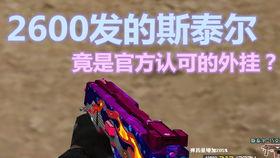 澳门火麒麟爆料真假视频,真假视频揭秘，真相究竟如何？