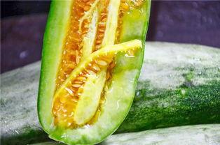 免费网红吃瓜视频,揭秘娱乐圈幕后真相