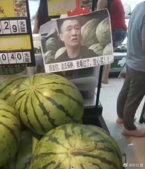 杭州网红事件吃瓜,揭秘网络狂欢背后的真相与反思