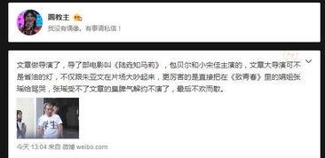 爆料文章与视频,视频揭露惊人内幕，事件真相令人震惊