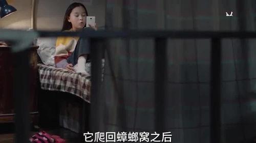 北影小姐姐爆料视频,揭秘校园生活幕后故事