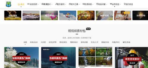 文章爆料视频素材库在哪,独家爆料！视频素材库生成秘境大公开