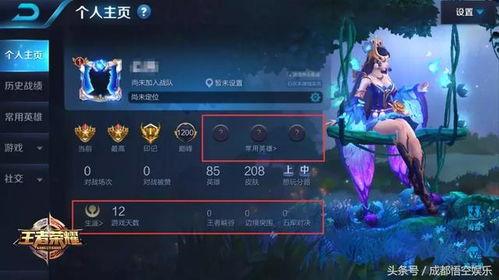 清明王者爆料视频下载,揭秘新赛季英雄与玩法革新