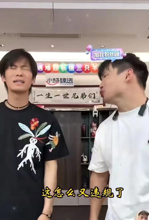 大杨哥澄清嘴哥爆料视频,真相大白，还原事件始末