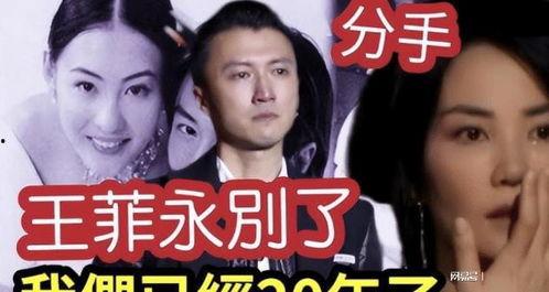 最新王菲爆料视频,独家幕后故事大公开