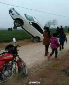 河南车友爆料视频最新版,揭秘惊人真相！