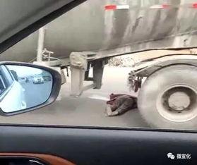 河南车友爆料视频最新版,揭秘惊人真相！