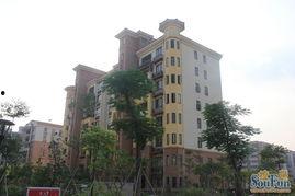 马湾银河湾小区最新爆料,揭秘神秘项目与周边发展动态