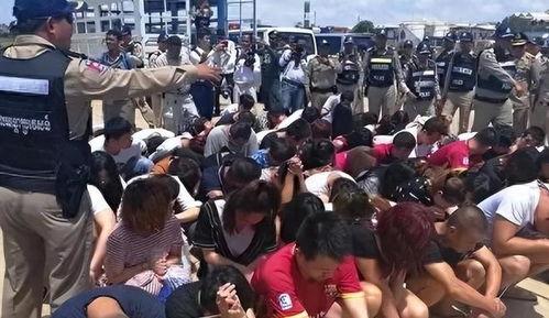 爆料柬埔寨诈骗事件视频,揭秘跨国网络诈骗黑幕