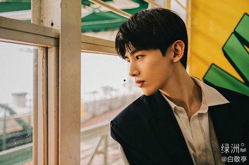 白敬亭资讯爆料视频,幕后故事与精彩瞬间