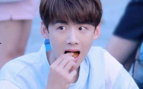 娱乐爆料 白敬亭,娱乐爆料引发网友热议