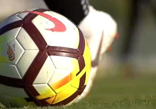 天津爆料足协最新消息,揭秘足协内部动态与改革动向