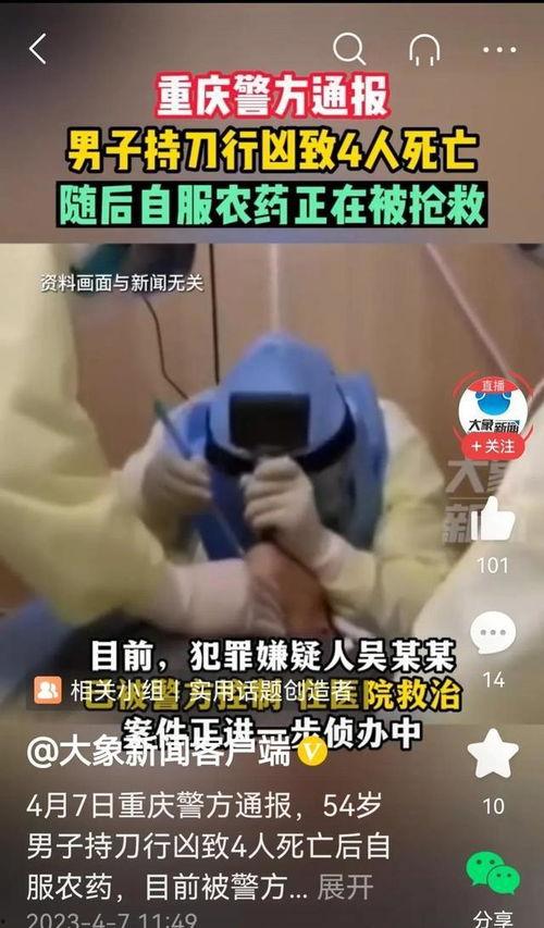 重庆命案惊人爆料视频完整版,惊人细节披露