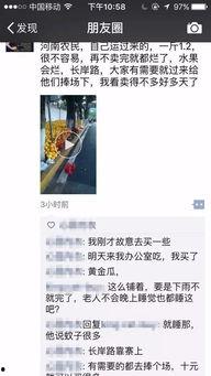 卖瓜爆料视频,瓜农自爆行业内幕，带你走进真实瓜市