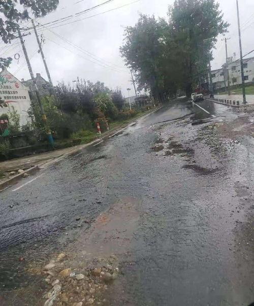 西安边家村爆料新闻视频,现场情况及最新进展