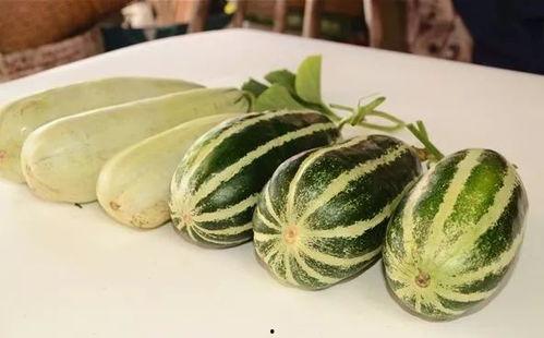 各种吃瓜网红精品视频,揭秘热门视频背后的精彩故事