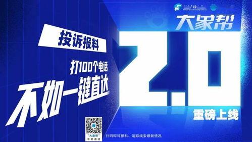 爆料大鲜视频,独家爆料背后的真相与内幕
