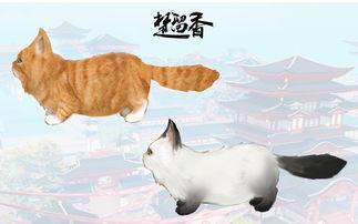 萌宠视频热点爆料,萌宠圈爆火！最新热点视频盘点