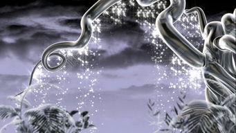 黑曼君爆料视频大全下载,揭秘幕后真相，带你走进事件核心