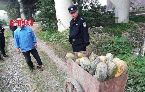 延安网红吃瓜事件视频,一场网络舆论的风暴与反思