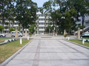 襄阳一中最新爆料,揭秘校园风云与学子风采