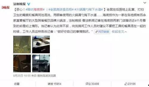海底捞爆料老鼠事件视频,食品安全问题引发公众关注