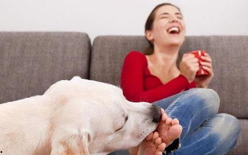 甜瓜每日爆料怎么做视频,轻松制作视频教程解析