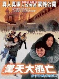 大逃亡电影在线观看,惊心动魄的逃亡之旅