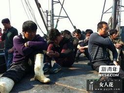 新船员最新爆料视频大全,最新视频大全深度解析